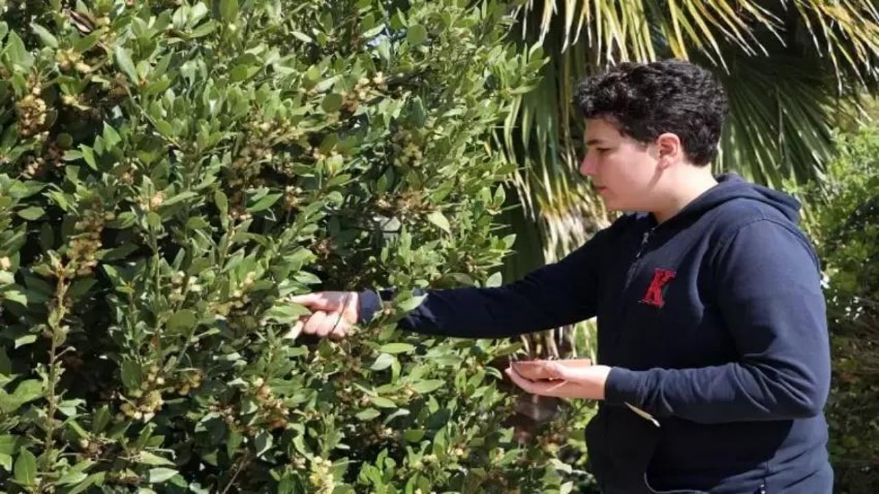 13 yaşında okul bahçesinde fark etti! Tohumundan üretti, TÜBİTAK’tan desteği şak diye kaptı