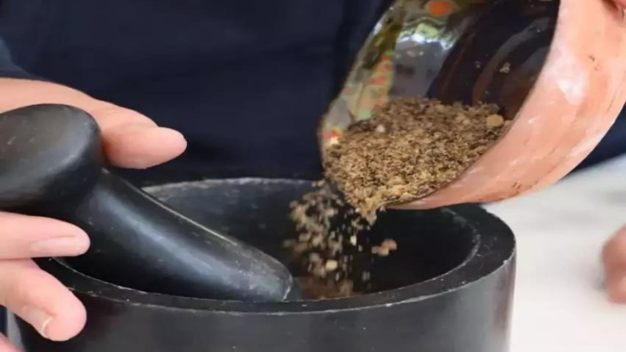 Foto - 13 yaşında okul bahçesinde fark etti! Tohumundan üretti, TÜBİTAK’tan desteği şak diye kaptı