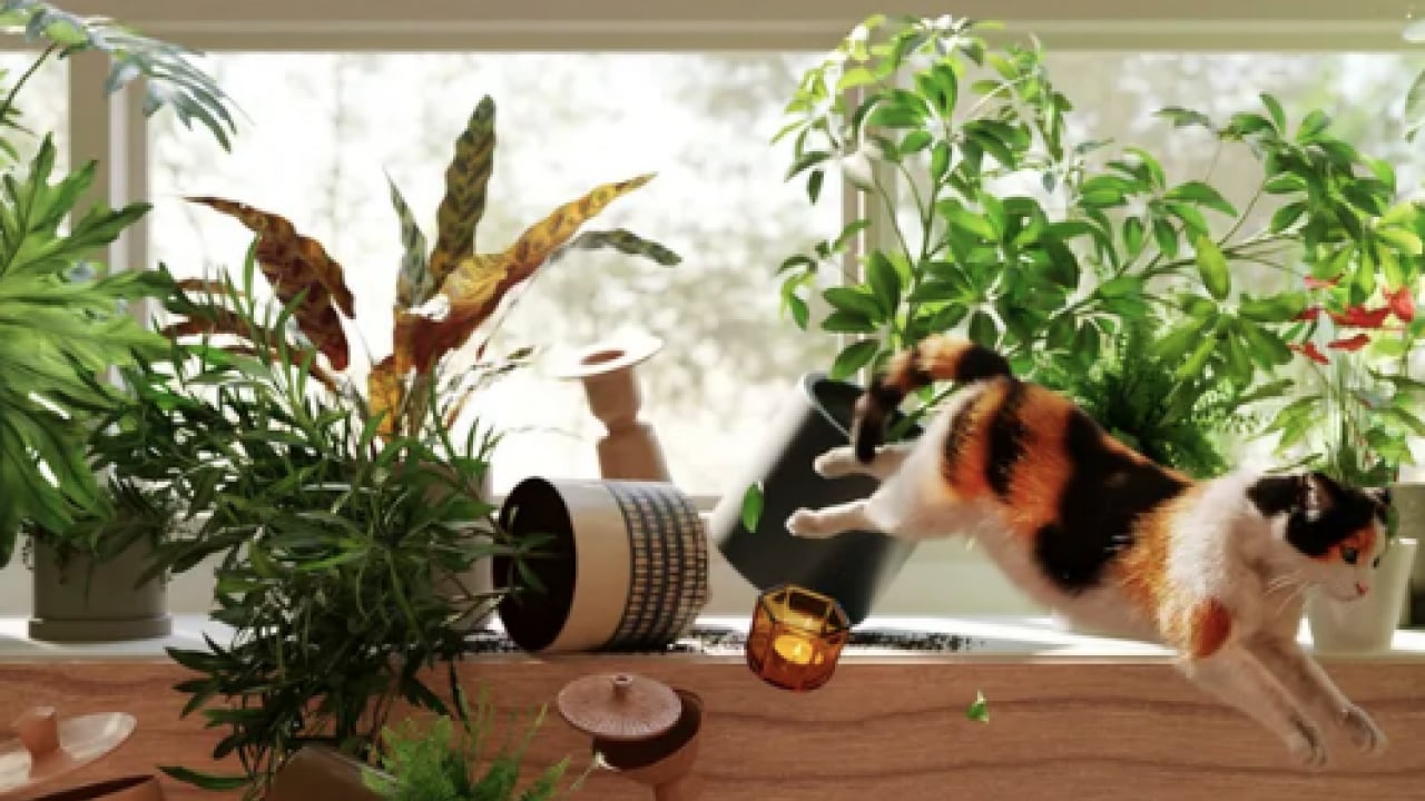 Foto - 130 yıllık tartışma son buldu: Bilim insanları kedilerin yere neden hep dört ayak üstünde düştüğünü açıkladı!