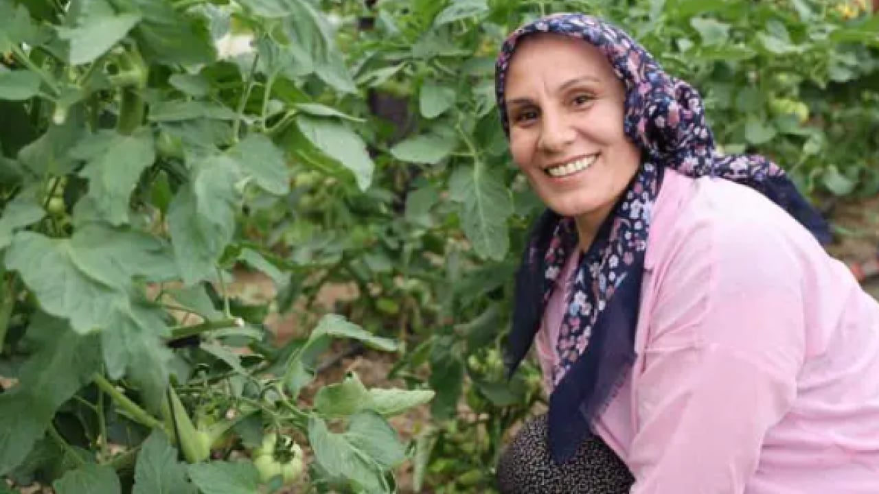 Foto - Köyde herkes aynı işi yapmaya başladı: 600 bin lira geliri var!