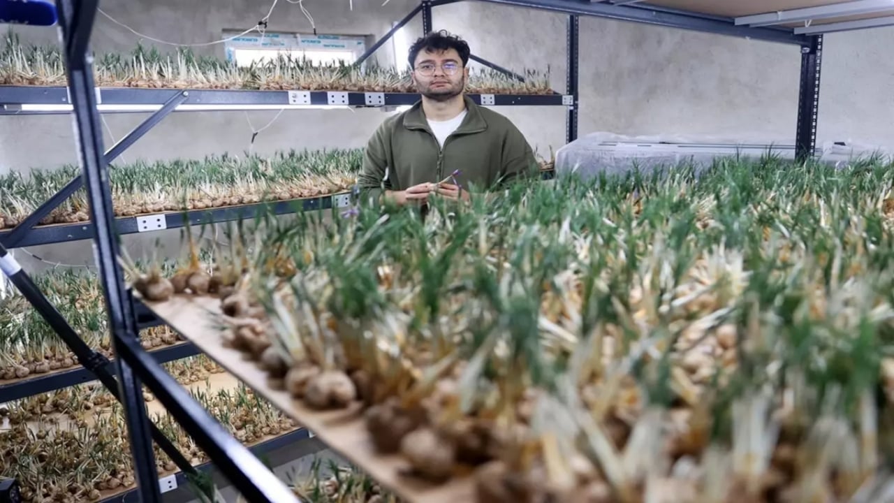 Foto - 14 metrekarelik tesisten servet kazanıyor! 5 kilosuyla daire alınıyor: İlgilisi için sırrını da paylaştı