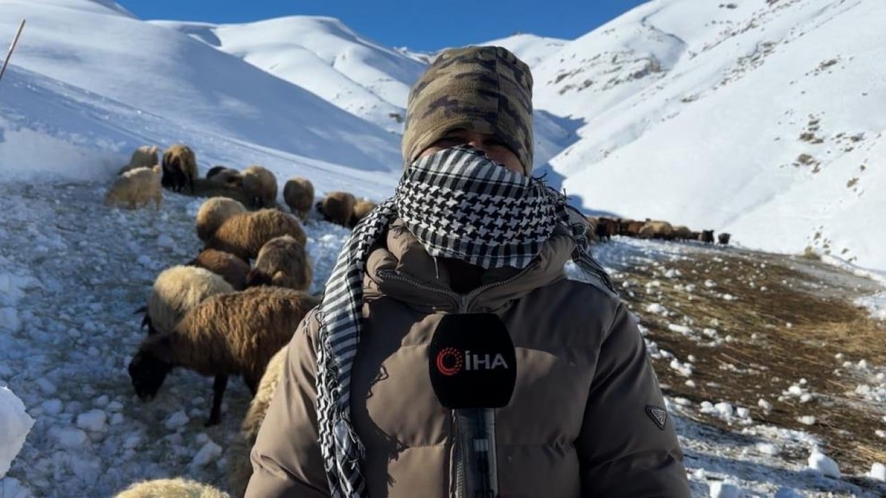Foto - 1,5 metre kar altında besicilik mücadelesi