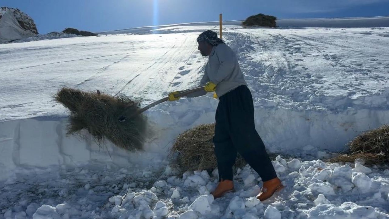 Foto - 1,5 metre kar altında besicilik mücadelesi