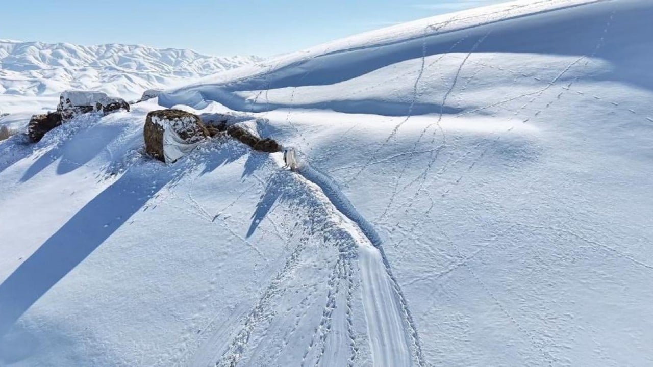 Foto - 1,5 metre kar altında besicilik mücadelesi