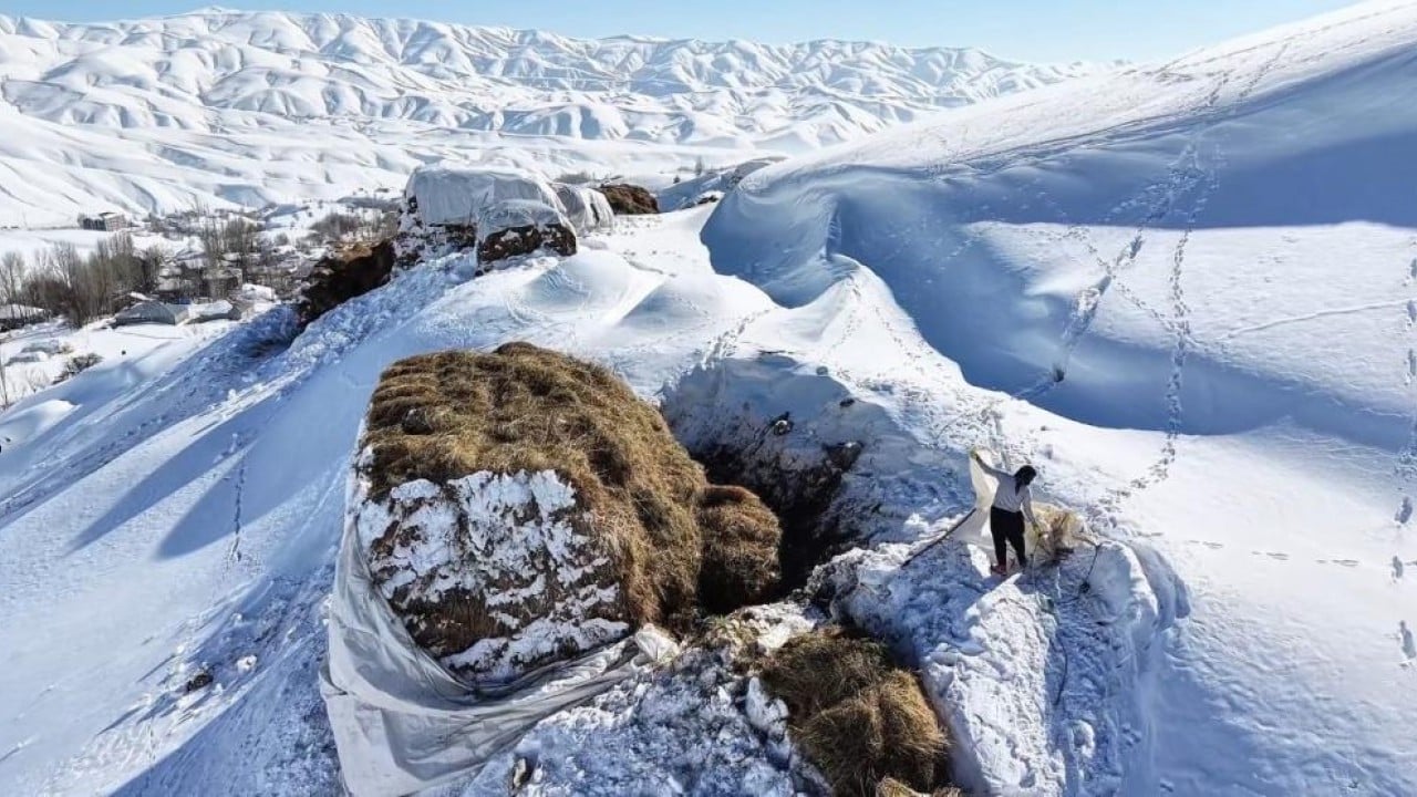 Foto - 1,5 metre kar altında besicilik mücadelesi