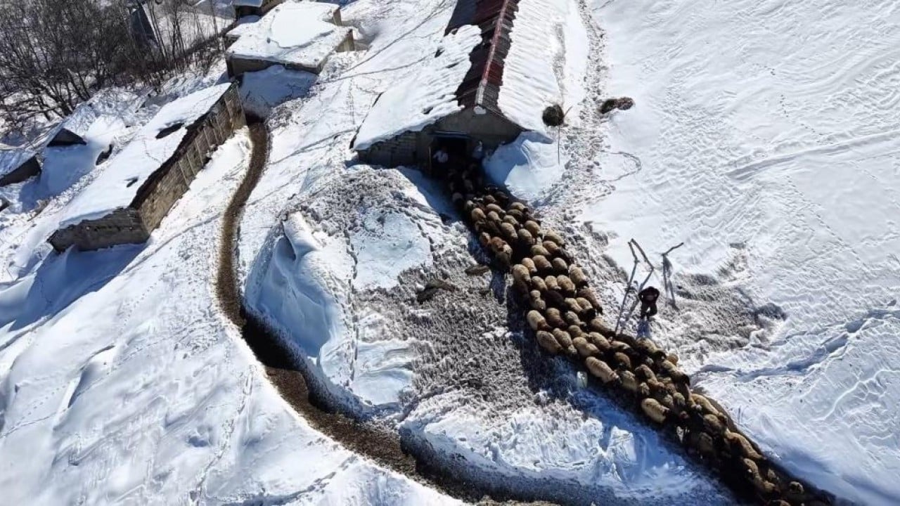 1,5 metre kar altında besicilik mücadelesi