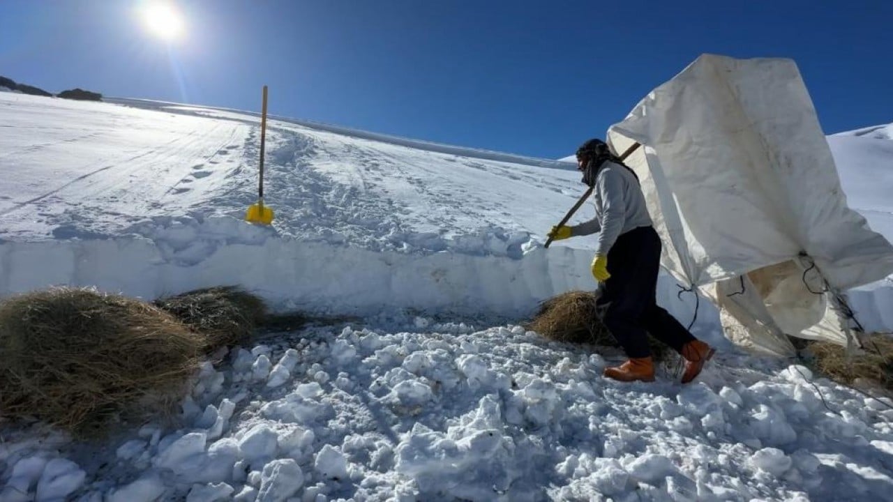 Foto - 1,5 metre kar altında besicilik mücadelesi