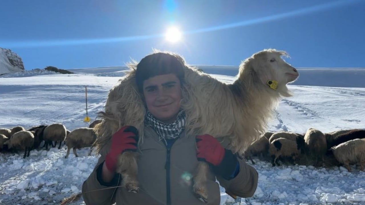 Foto - 1,5 metre kar altında besicilik mücadelesi