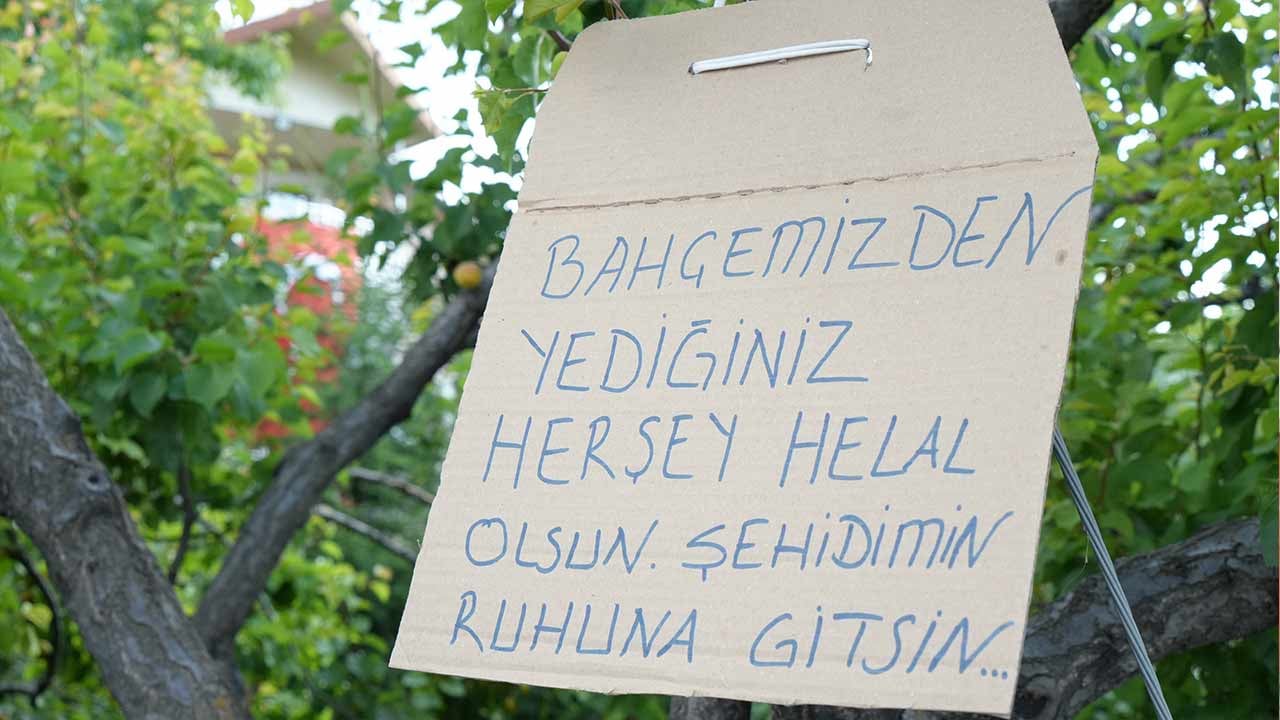 Foto - 15 Temmuz şehidimiz Cennet’in babası: Bin evladım olsa, bu vatana feda etmezsem namerdim