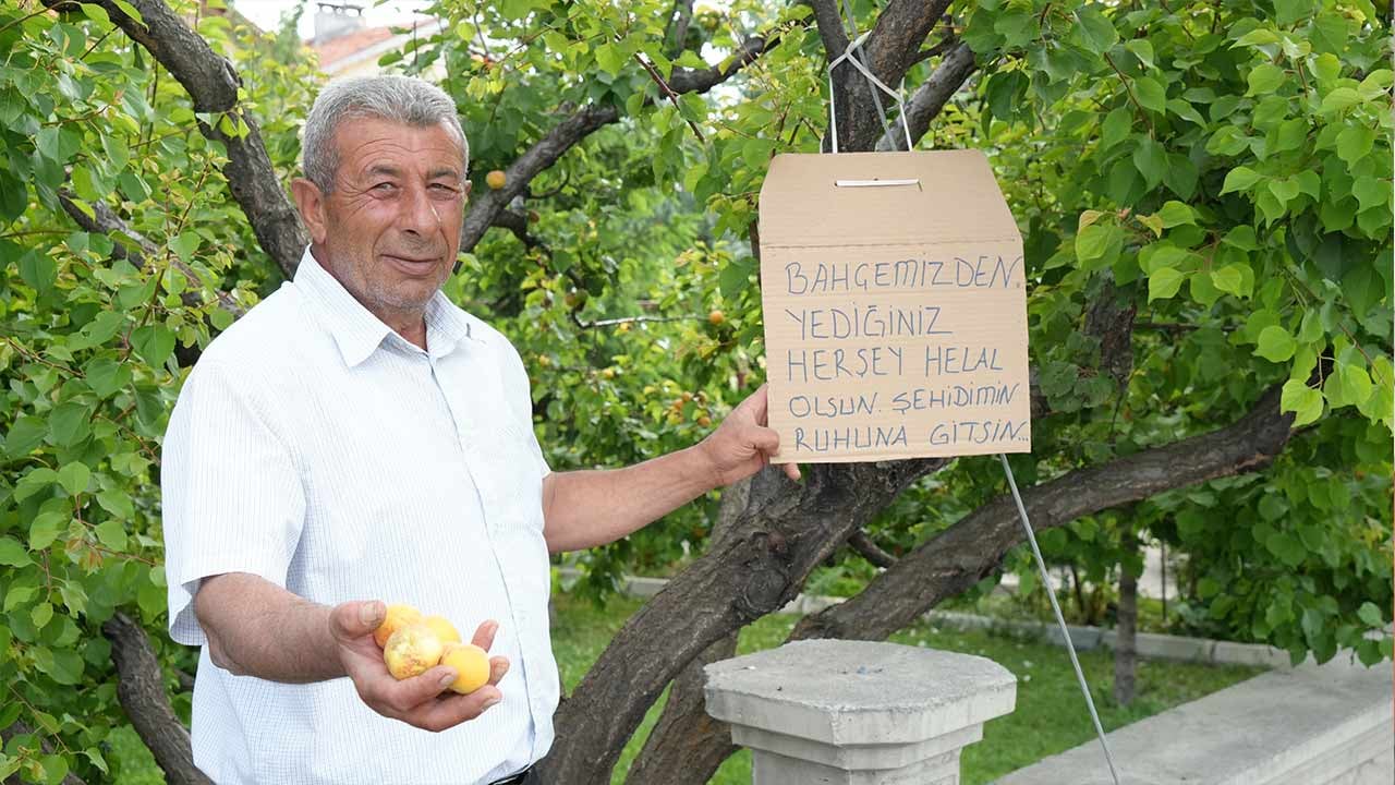 Foto - 15 Temmuz şehidimiz Cennet’in babası: Bin evladım olsa, bu vatana feda etmezsem namerdim