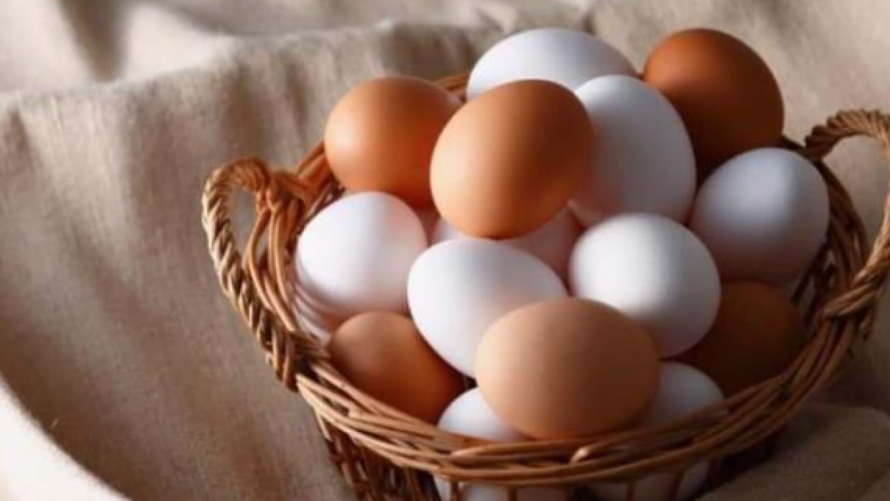 Foto - 15 yıl boyunca her gün 1 yumurta yerseniz ne olur?