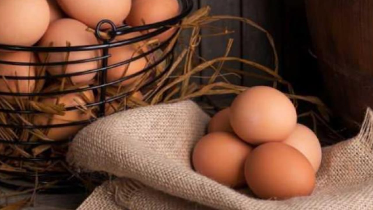 Foto - 15 yıl boyunca her gün 1 yumurta yerseniz ne olur?