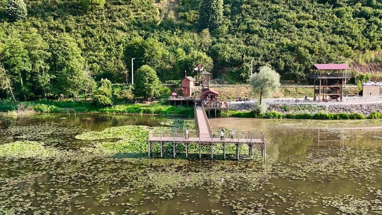 Foto - 150 kuş türüne ev sahipliği yapıyor! Efteni Gölü'nde 'yeşil manzara'
