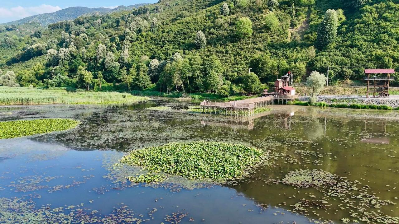 Foto - 150 kuş türüne ev sahipliği yapıyor! Efteni Gölü'nde 'yeşil manzara'