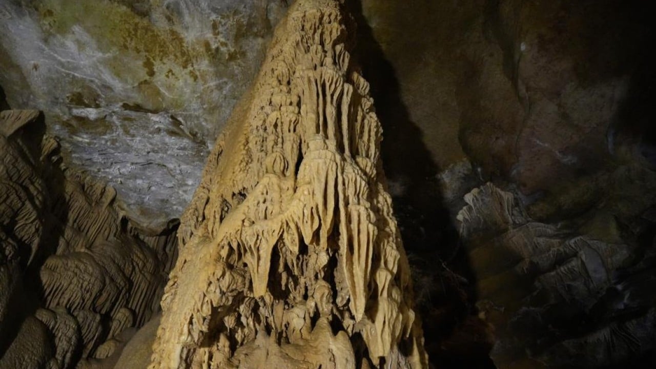 Foto - 150 milyon yıl öncesine gizemli yolculuk