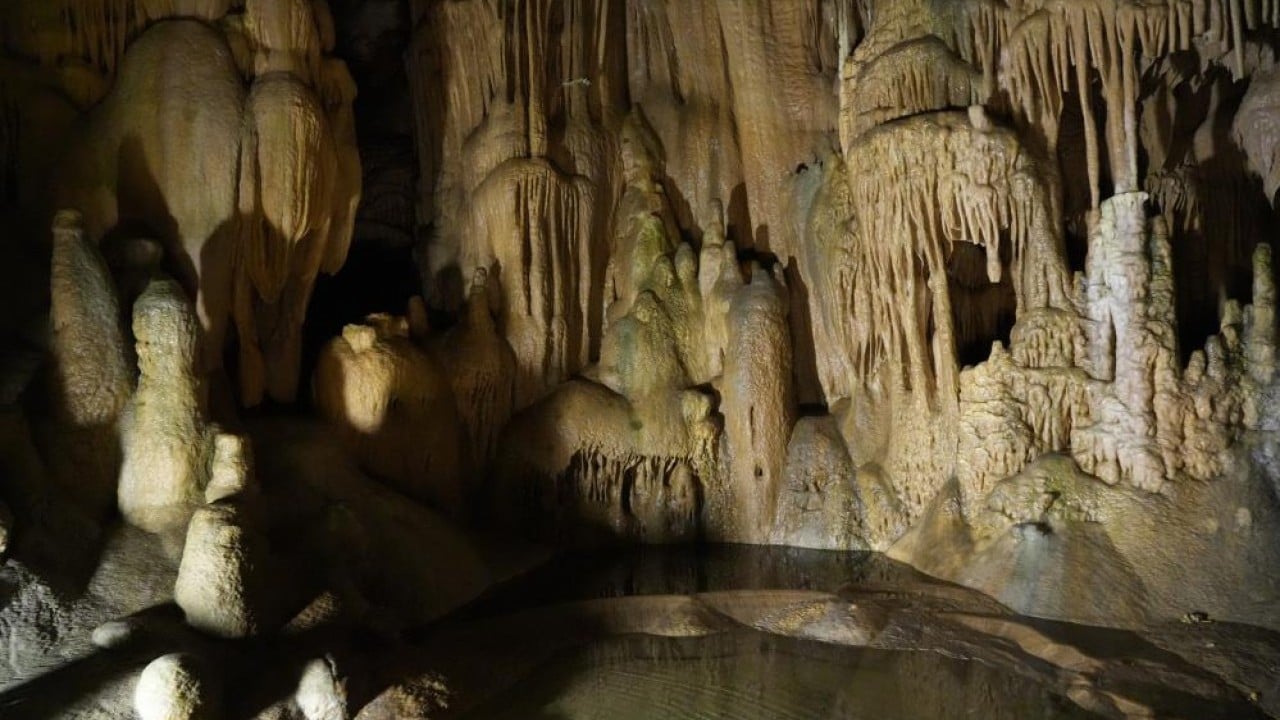 Foto - 150 milyon yıl öncesine gizemli yolculuk