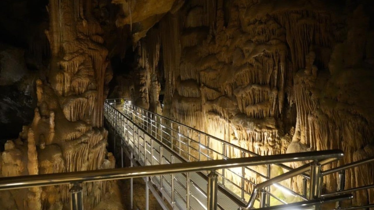 Foto - 150 milyon yıl öncesine gizemli yolculuk