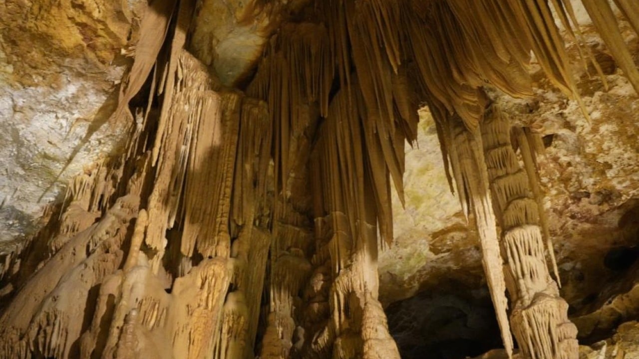 Foto - 150 milyon yıl öncesine gizemli yolculuk