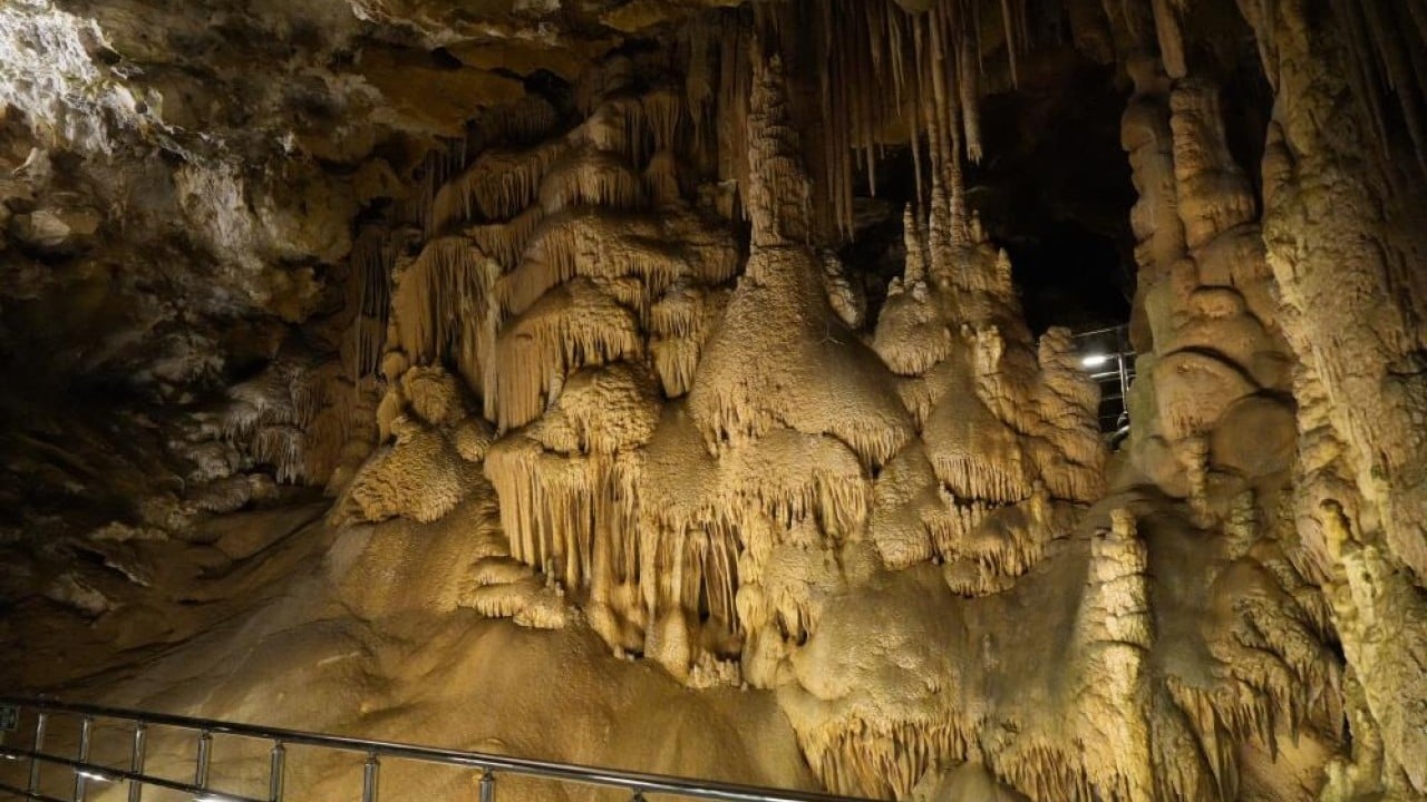 Foto - 150 milyon yıl öncesine gizemli yolculuk