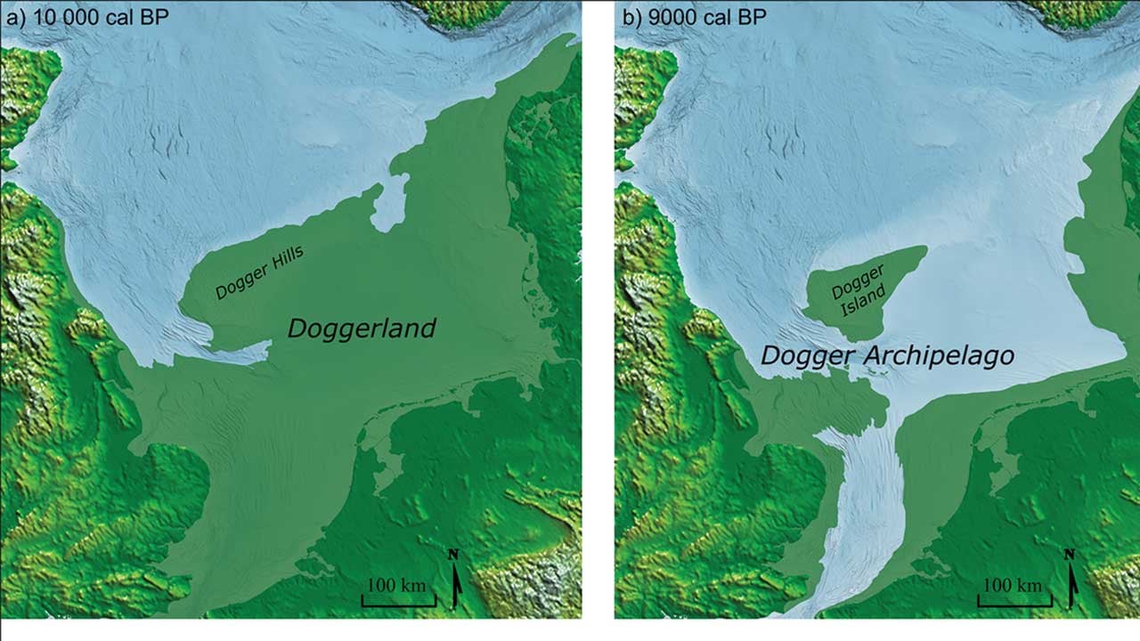 Foto - 16 bin yıldır kayıp orman denizin dibinde bulundu! Atlantis gerçek çıktı