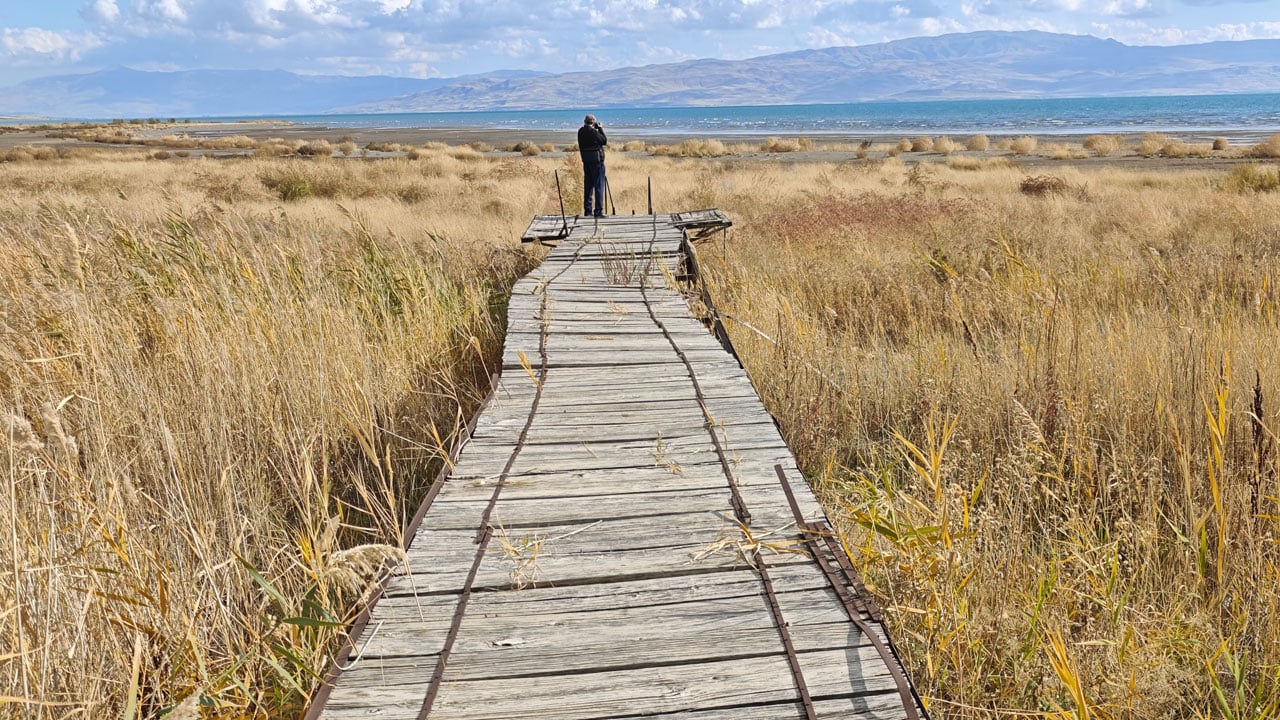 17 yılda bu hale geldi! Van Gölü elden gidiyor