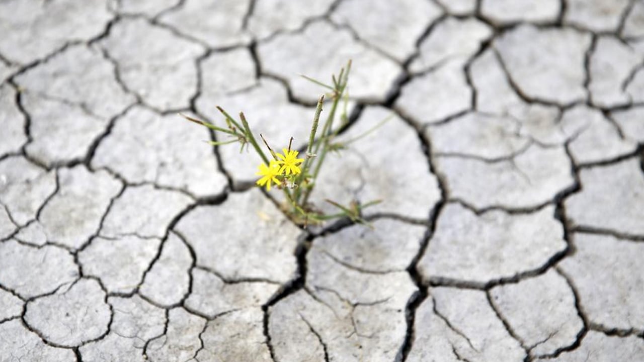 Foto - Baraj doluluk oranı ne durumda? Türkiye'nin kuraklık haritası... 8 Ocak'ta yüzde 18'lere kadar düştü
