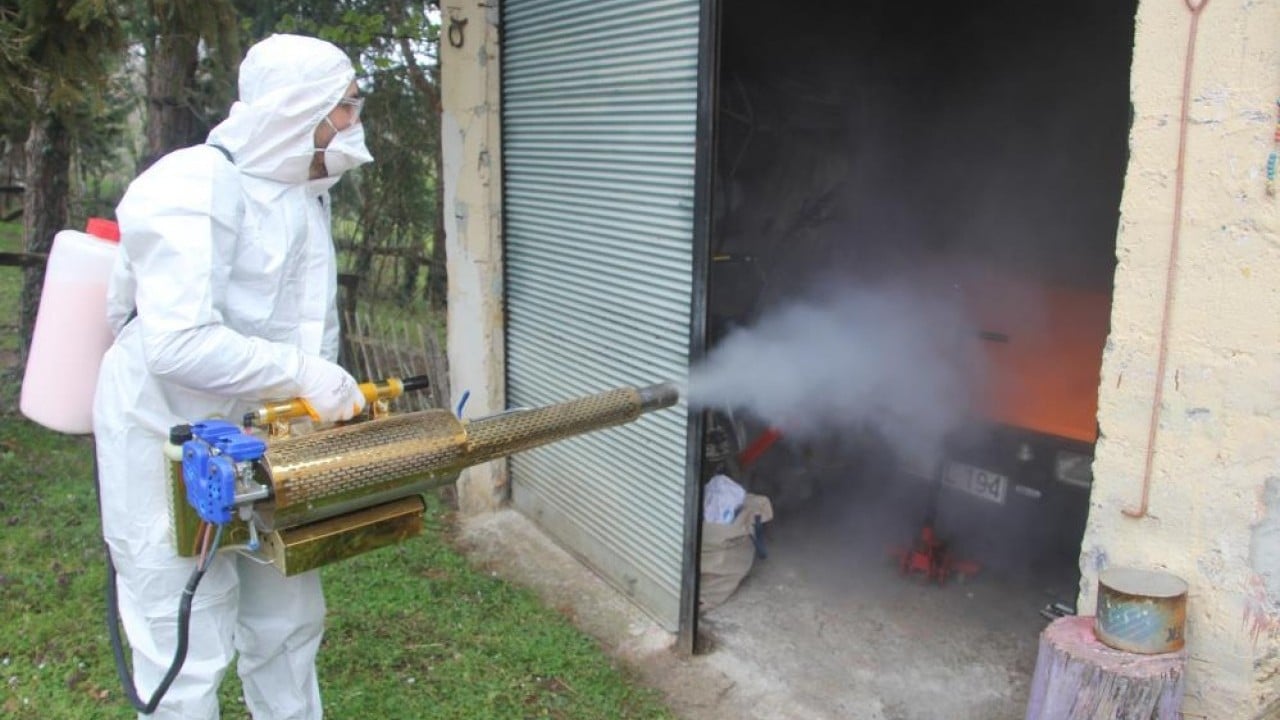 Foto - 190 bin noktada ilaçlama yapıldı Kokarca savaşında kazanan insanoğlu