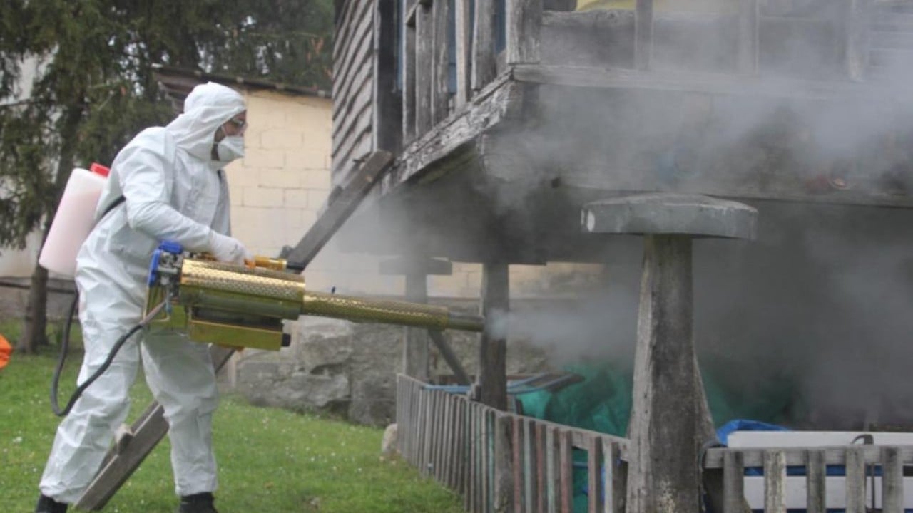 Foto - 190 bin noktada ilaçlama yapıldı Kokarca savaşında kazanan insanoğlu