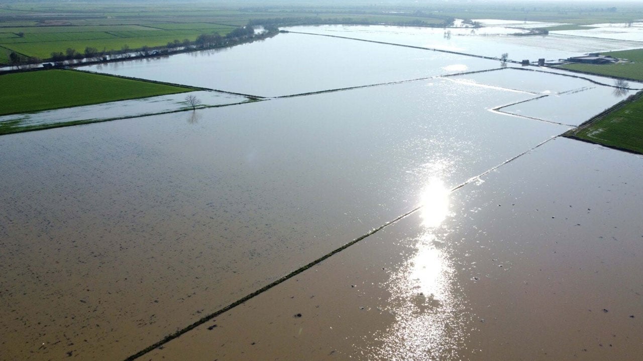 2 bin dönüm arazi zarar gördü! Büyük Menderes taştı, ovayı su bastı