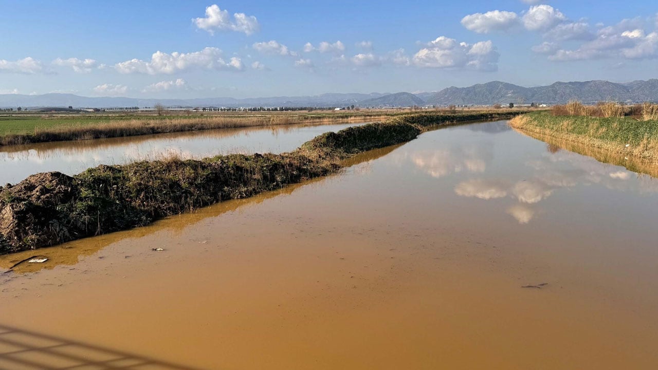 Foto - 2 bin dönüm arazi zarar gördü! Büyük Menderes taştı, ovayı su bastı