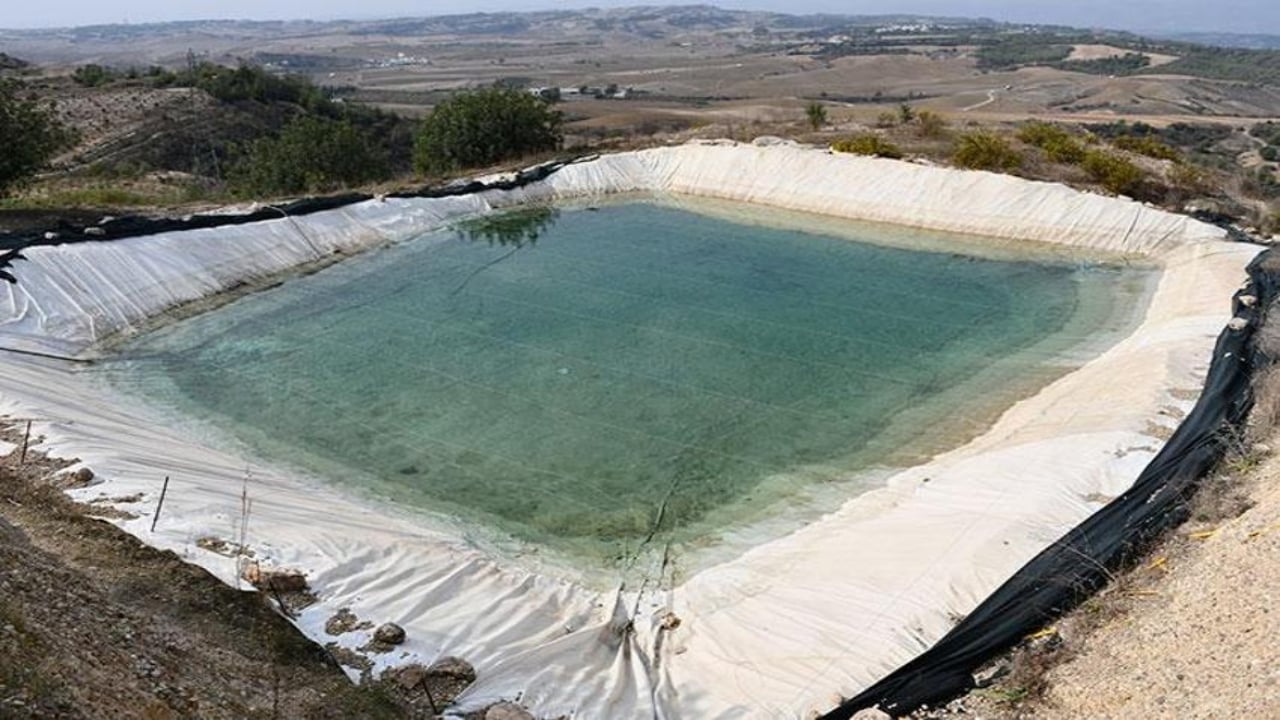 Foto - 2 bin fidanla başladı, şimdi fabrika kuruyor! Adanalı mühendis, 156 dönümde imkansızı başardı