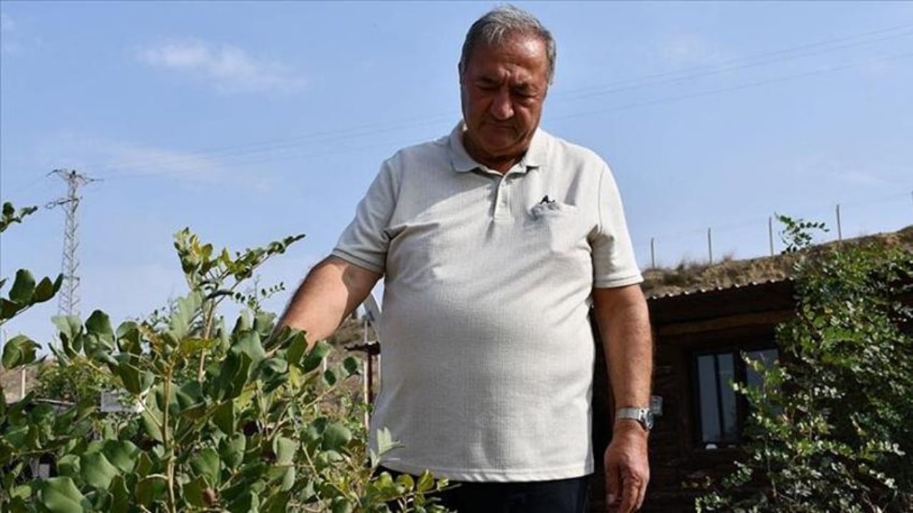 2 bin fidanla başladı, şimdi fabrika kuruyor! Adanalı mühendis, 156 dönümde imkansızı başardı