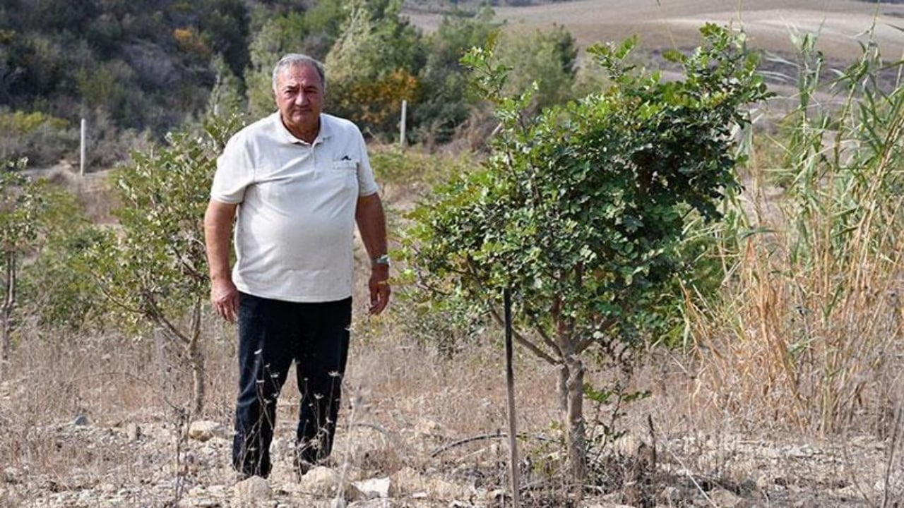 Foto - 2 bin fidanla başladı, şimdi fabrika kuruyor! Adanalı mühendis, 156 dönümde imkansızı başardı