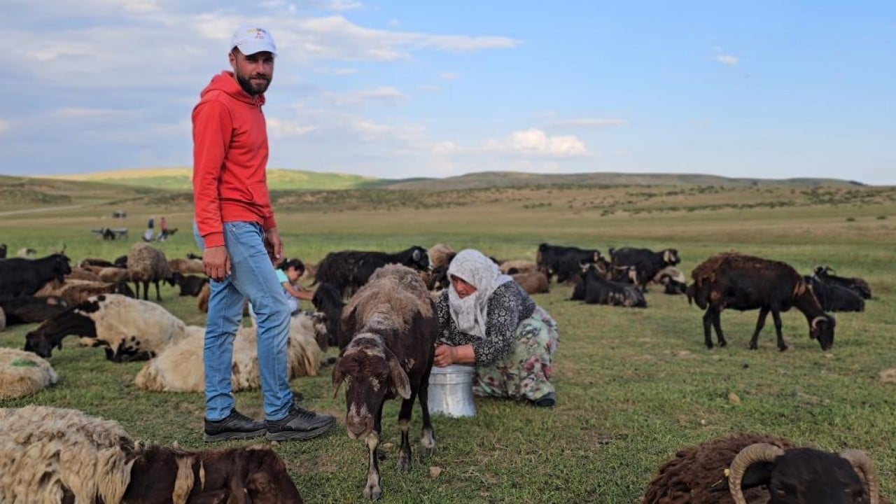 Foto - 2 bin rakımlı yayla mesaisi Lezzetli sütün sırrı yükseklerde