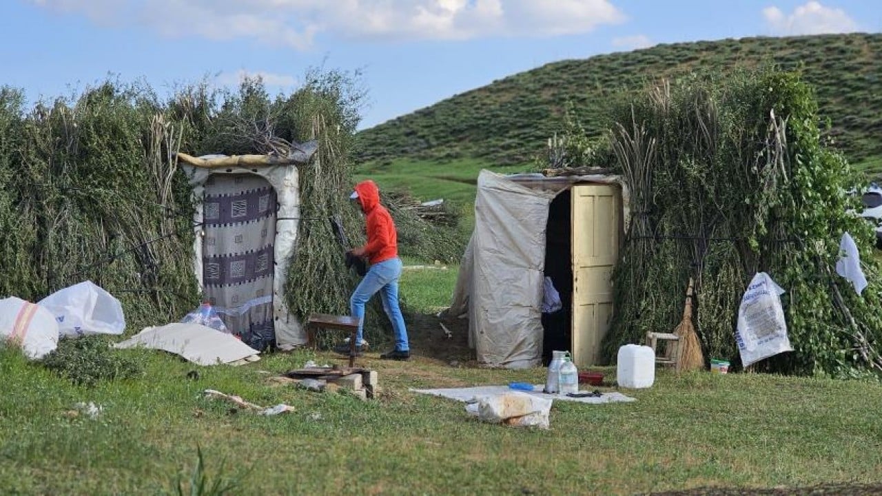 Foto - 2 bin rakımlı yayla mesaisi Lezzetli sütün sırrı yükseklerde
