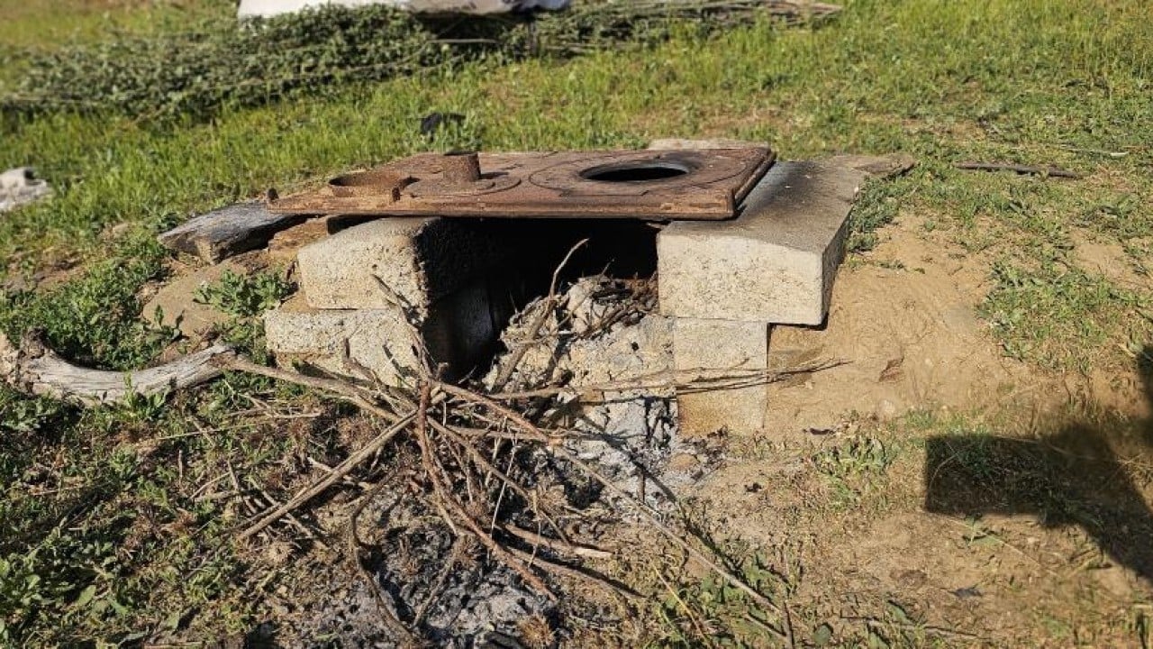 Foto - 2 bin rakımlı yayla mesaisi Lezzetli sütün sırrı yükseklerde