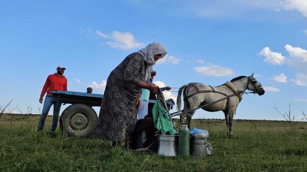 Foto - 2 bin rakımlı yayla mesaisi Lezzetli sütün sırrı yükseklerde