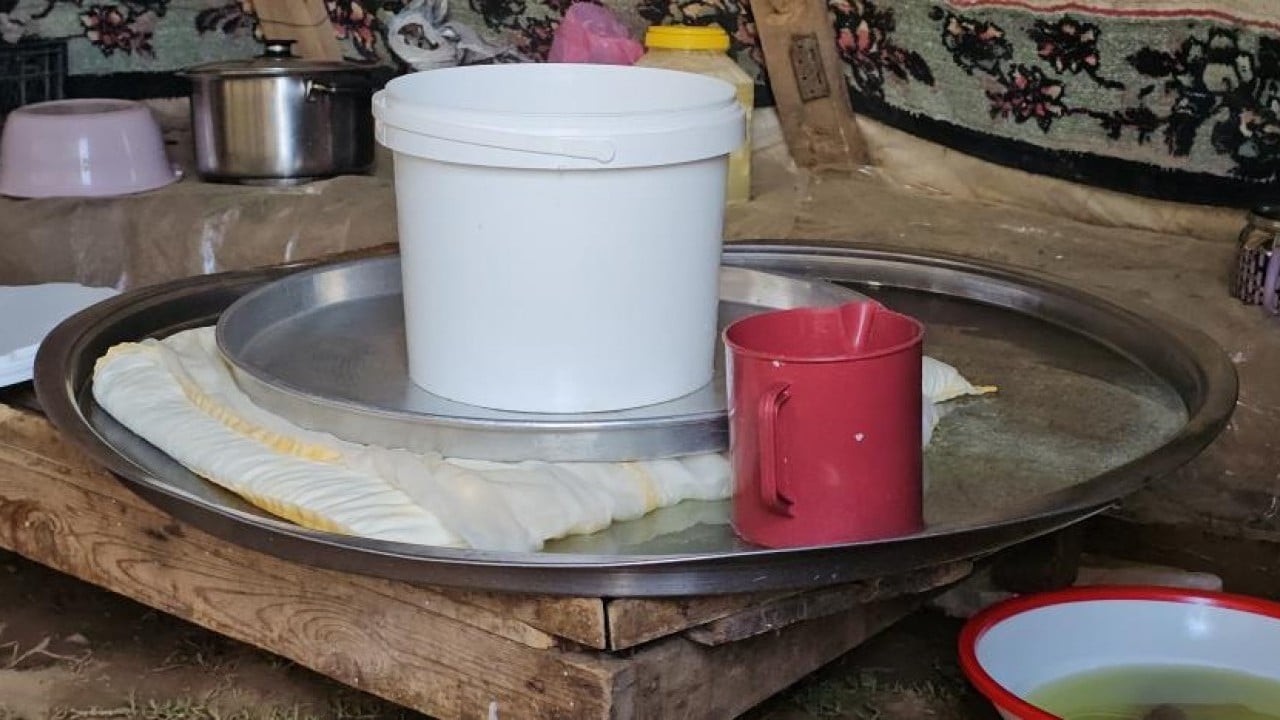 Foto - 2 bin rakımlı yayla mesaisi Lezzetli sütün sırrı yükseklerde