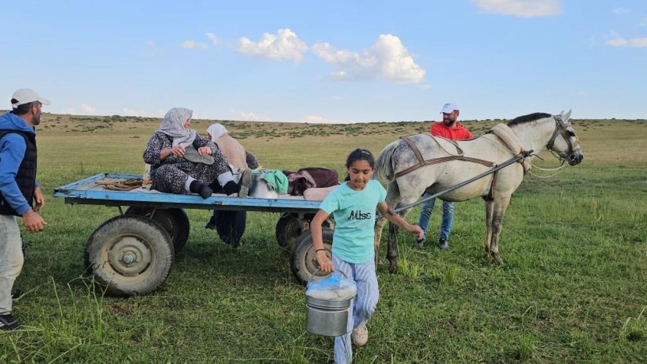 Foto - 2 bin rakımlı yayla mesaisi Lezzetli sütün sırrı yükseklerde