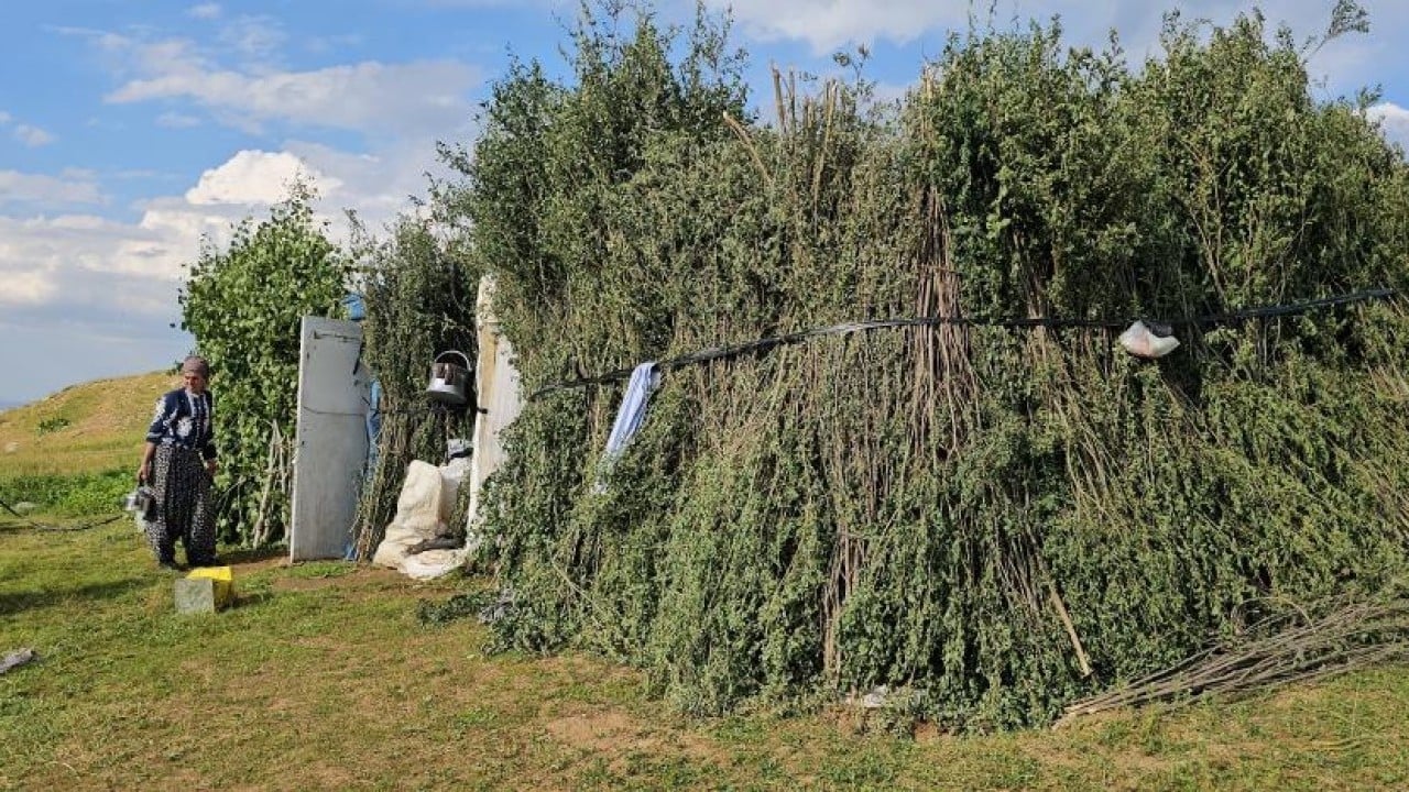 Foto - 2 bin rakımlı yayla mesaisi Lezzetli sütün sırrı yükseklerde