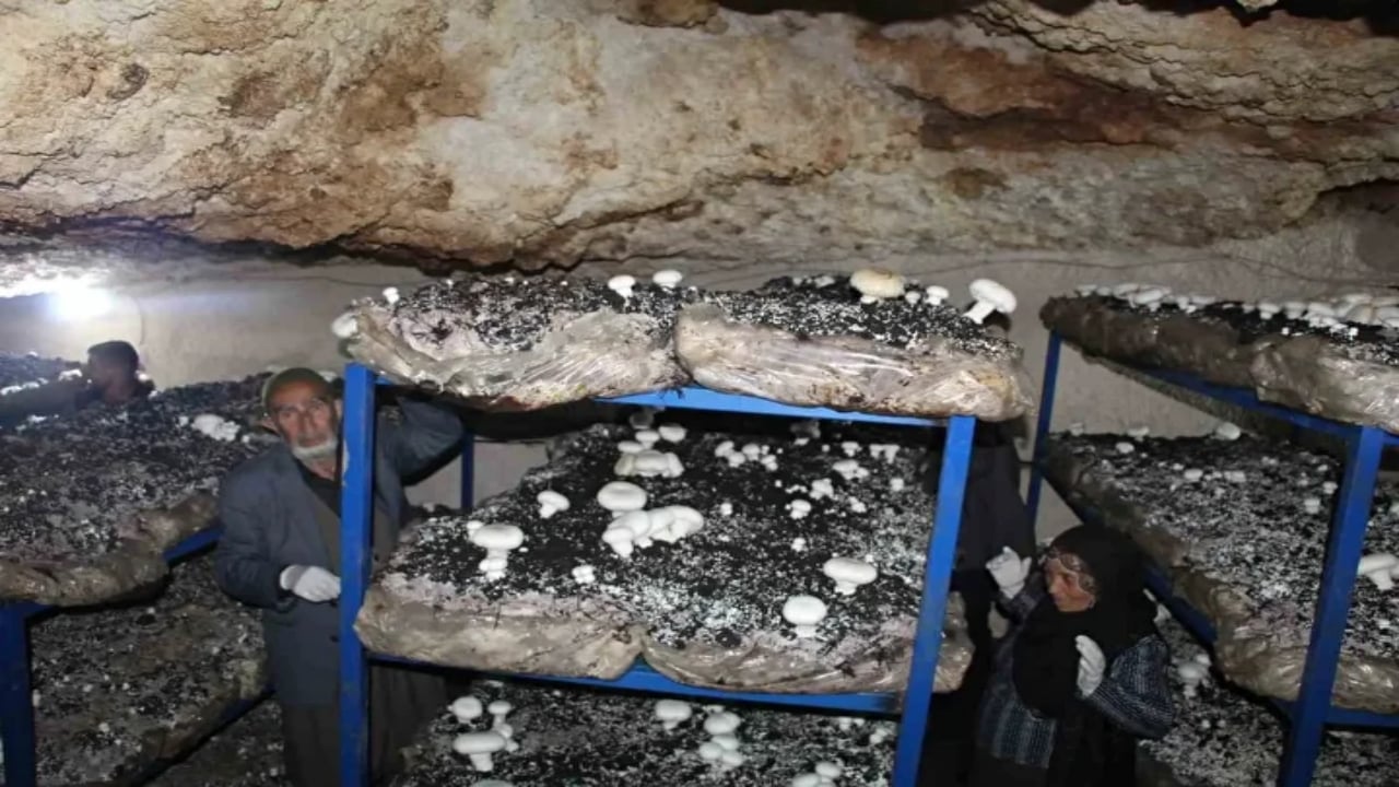 Foto - 2 bin yıllık mağarada resmen para basıyorlar! Dedelerinden kaldı, şimdi siparişlere yetişemiyorlar