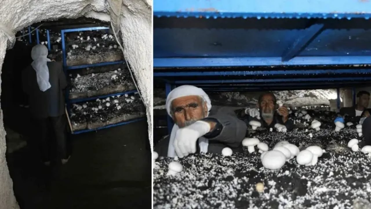 2 bin yıllık mağarada resmen para basıyorlar! Dedelerinden kaldı, şimdi siparişlere yetişemiyorlar