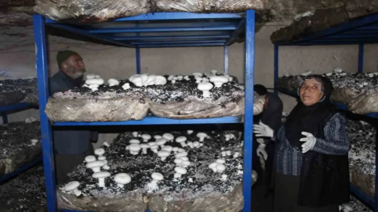 Foto - 2 bin yıllık mağarada resmen para basıyorlar! Dedelerinden kaldı, şimdi siparişlere yetişemiyorlar