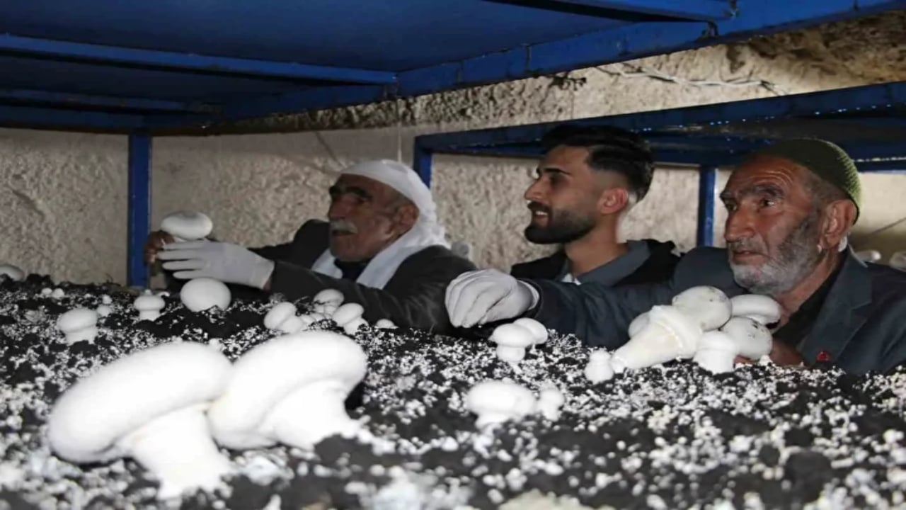 Foto - 2 bin yıllık mağarada resmen para basıyorlar! Dedelerinden kaldı, şimdi siparişlere yetişemiyorlar