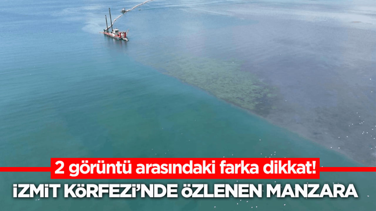 2 görüntü arasındaki farka dikkat! İzmit Körfezi’nde özlenen manzara