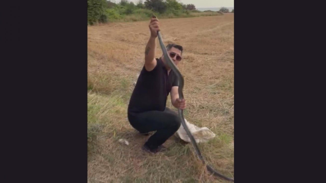 Foto - 2 metrelik yılan kümese girdi! ‘Yılancı Kemal’i elinden ısırdı 