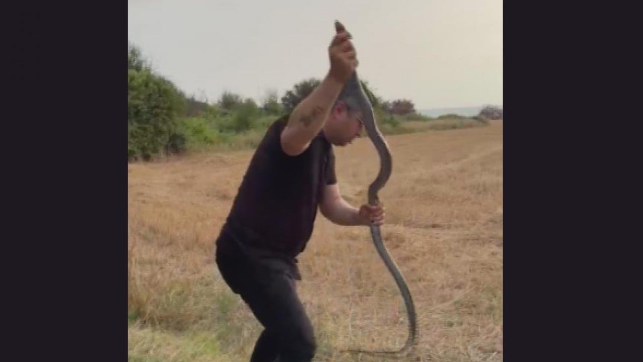 Foto - 2 metrelik yılan kümese girdi! ‘Yılancı Kemal’i elinden ısırdı 