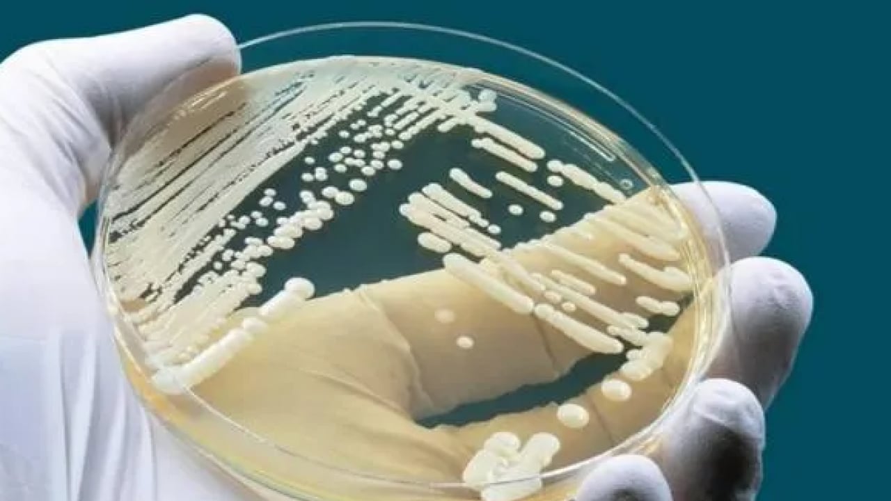 Foto - 2 yaşındaki Ali ölümden döndü: Bocavirüs'ün belirtileri neler?