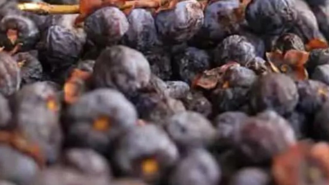 Foto - 2 yılda bir hasat ediliyor! Bu meyve çürüyünce yeniyor!