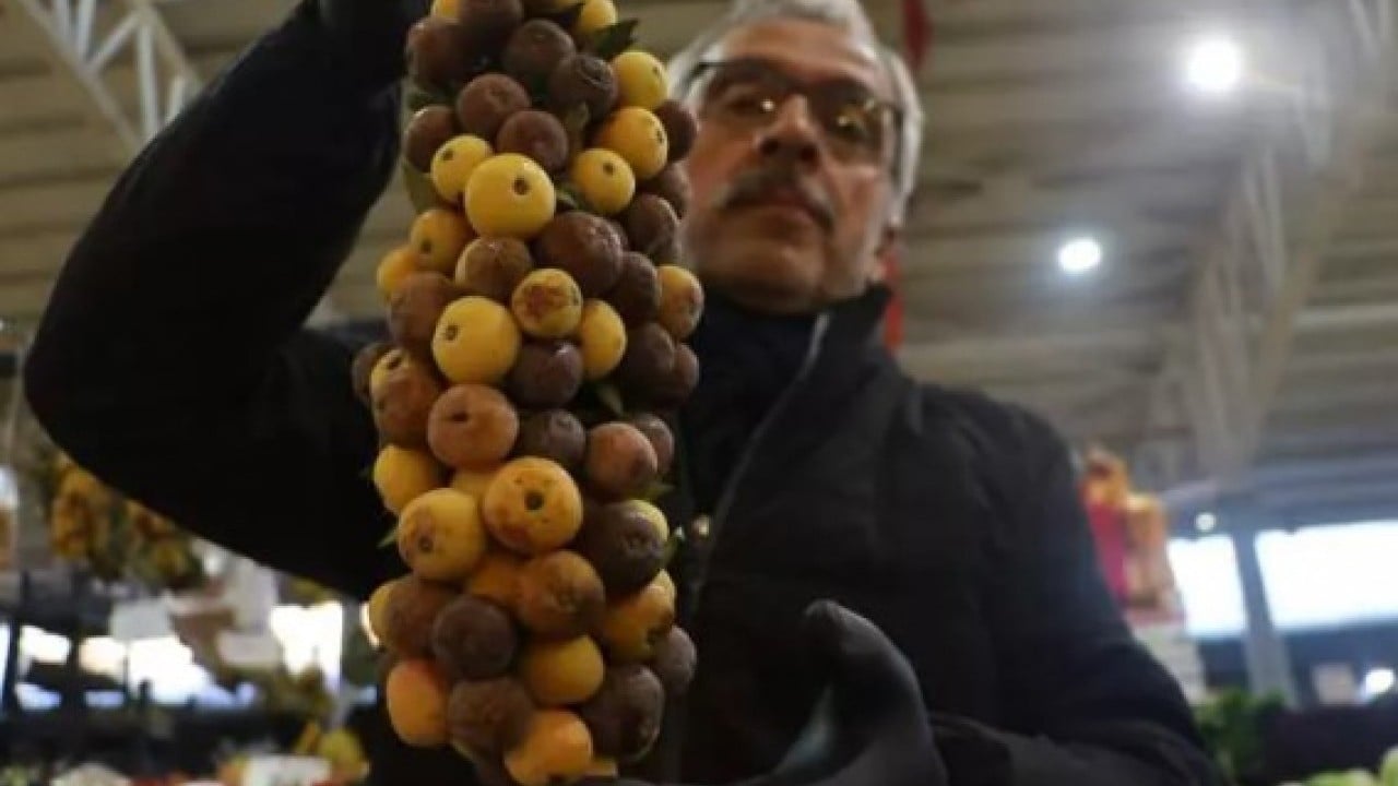 Foto - 2 yılda bir hasat ediliyor! Bu meyve çürüyünce yeniyor!